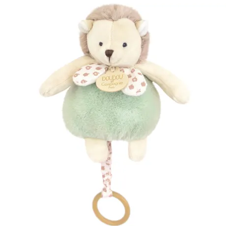 Boite a musique bebe - Hérisson vert - 20 cm