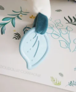 Coffret peluche d'activités Yoca le koala et son bébé - 25 cm
