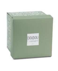 Doudou mouchoir- Mon petit ourson - Vert Clair - 10 cm