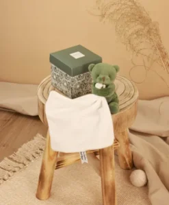 Doudou mouchoir- Mon petit ourson - Vert - 10 cm