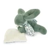 Lapin DOUDOU® - Peluche lapin Vert avec doudou assorti - 16 cm