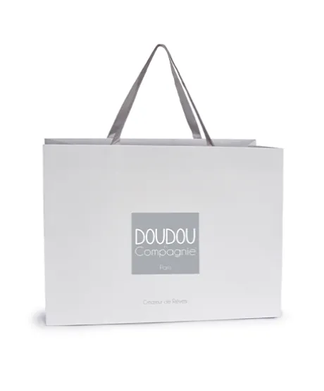 Sac Cadeau M